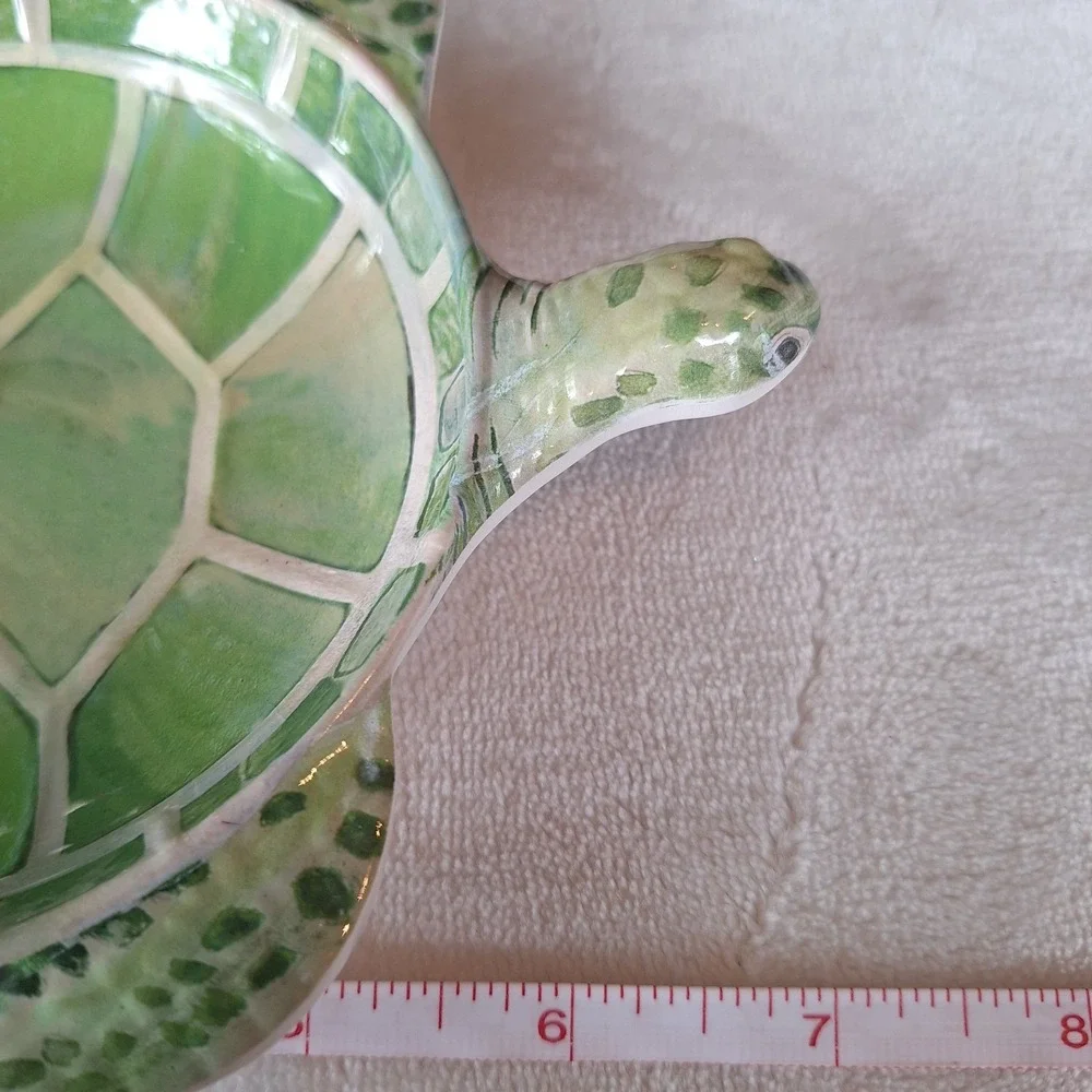 Cynthia Coulter Home Designs Sea Turtle 7